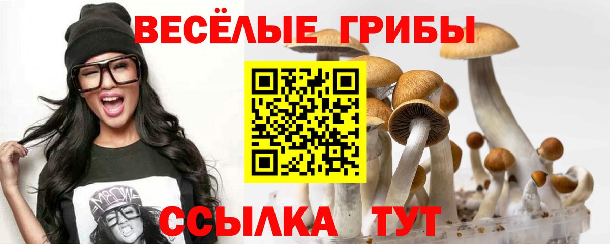 Псилоцибиновые грибы GOLDEN TEACHER Вязники